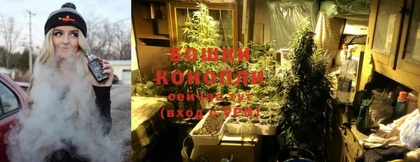 ГАЛЛЮЦИНОГЕННЫЕ ГРИБЫ Краснотурьинск