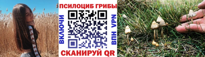 Купить закладки  Арамиль  Псилоцибиновые грибы мухоморы 